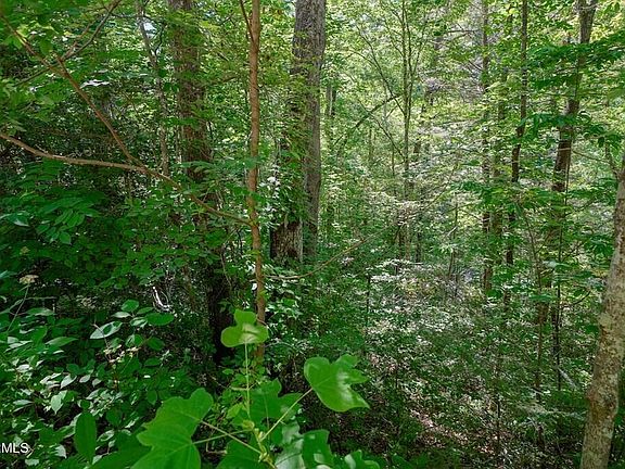 5th image of LOT 33 Ownby Cir