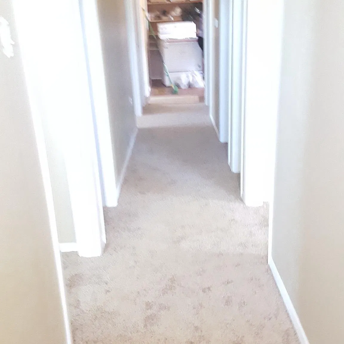 3 bed, 2.5 bath, $1,500 — Photo 4