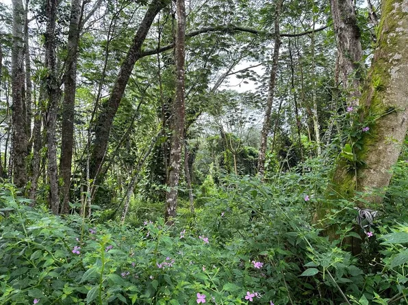 Niihau Rd Lot 706, Pahoa, HI 96778