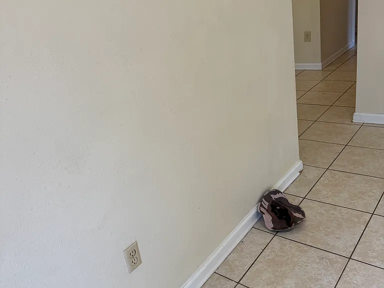 1013 Seville Ave #B — Photo 5
