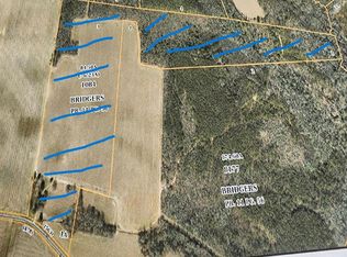 Jenkins Mill Rd, Conway, NC 27820