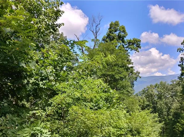 0 Goldmine Dr #P2, Ellijay, GA 30536