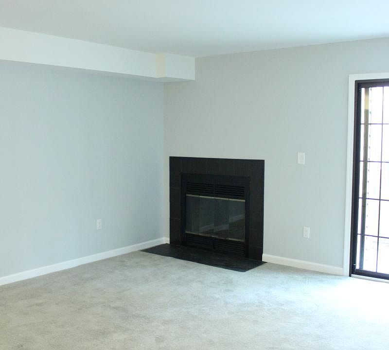 Wood-burning fireplace