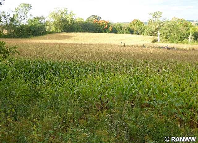 1st image of 0 190th Street