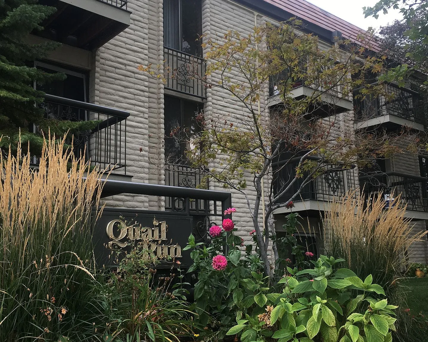 Quail Run — Photo 1