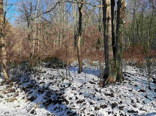 3 Jesses Run Rd, Fairview, WV 26570