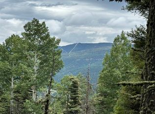 42 Alcalde Trl, Angel Fire, NM 87710