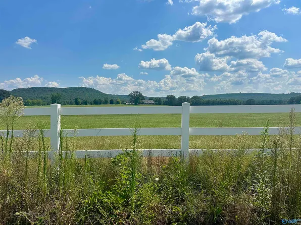 TRACT Old Memphis Pike #C, Tuscumbia, AL 35674