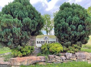 14B Saddle Ridge Dr, Warne, NC 28909