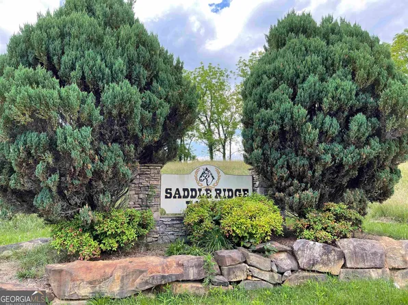 14B Saddle Ridge Dr, Warne, NC 28909