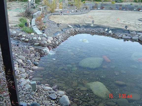 Koi Pond