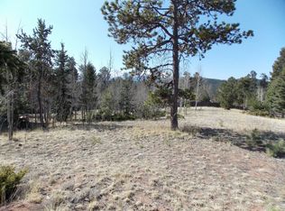 501 Skyline Dr, Woodland Park, CO 80863