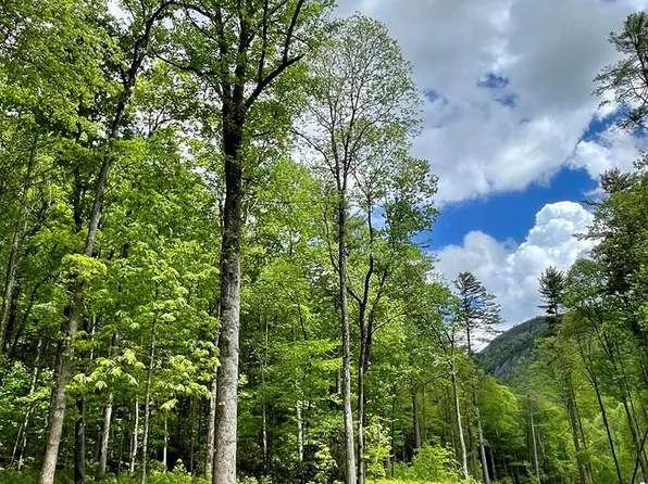 90 Flagstone Road, Cashiers, NC 28717