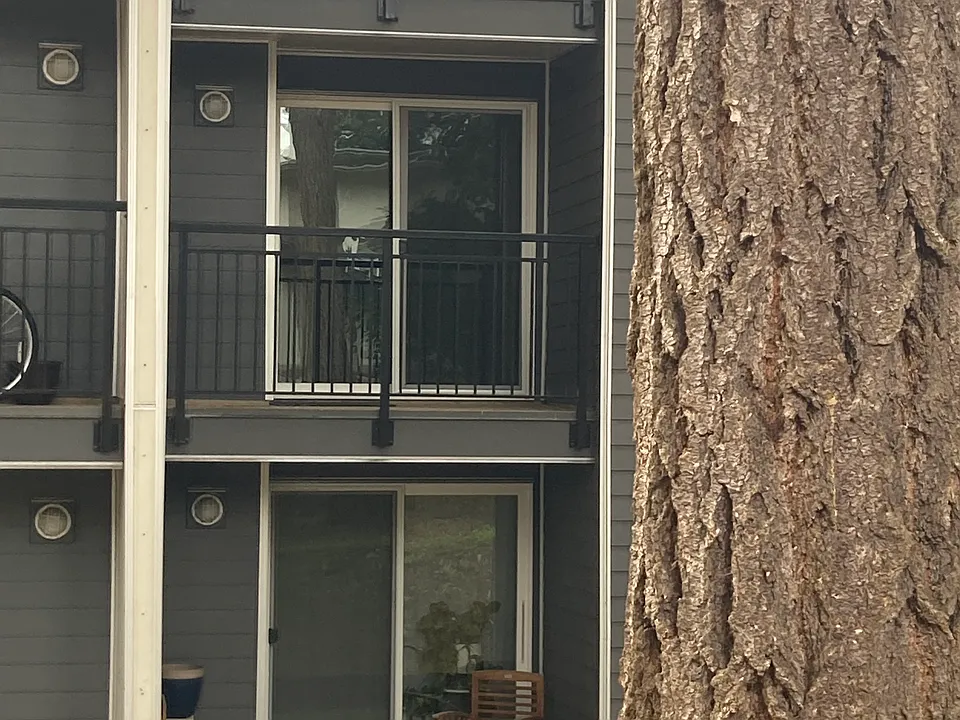 the middle lanai belongs to E-204