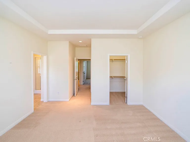 33 Bromeliad — Photo 23