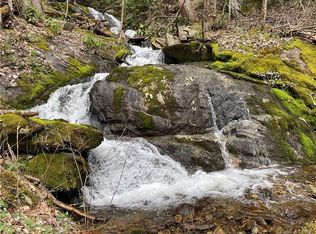 2270 Roaring Fork Rd, Hot Springs, NC 28743