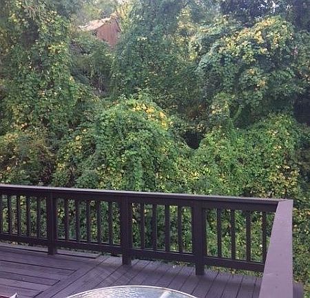 2nd image of 4 Brandywine Dr #10