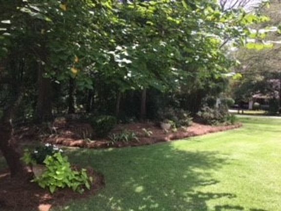 Frontyard natural area