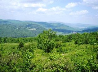 Donlan Heights Rd, middleburgh, NY 12122