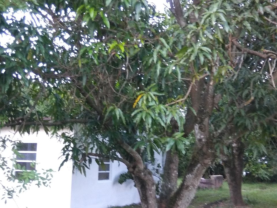 2nd image of 16515 NW 24th Ave