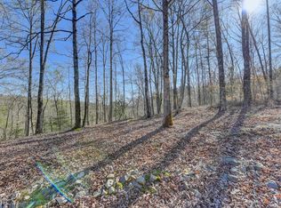0 Peaceful Waters Cir #15, Demorest, GA 30535