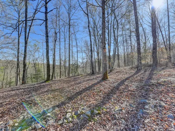 0 Peaceful Waters Cir #15, Demorest, GA 30535