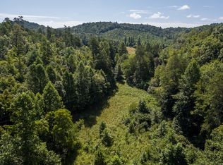 Murphy Hwy, Mineral Bluff, GA 30559