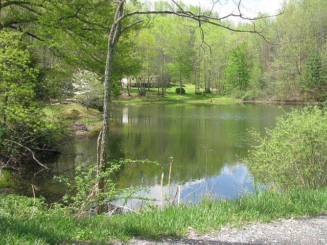 2nd image of 428 Hoot Owl Rd