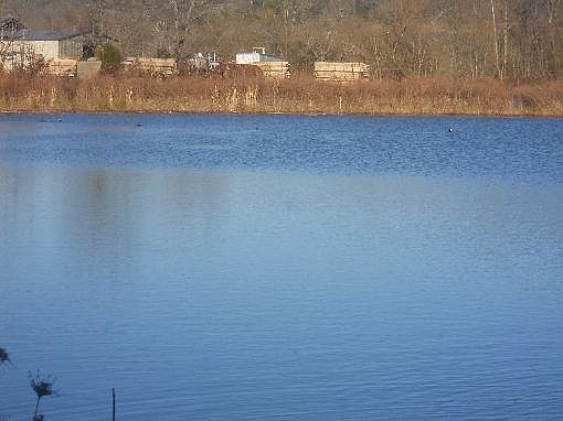 5th image of 9389 Glasgow Rd