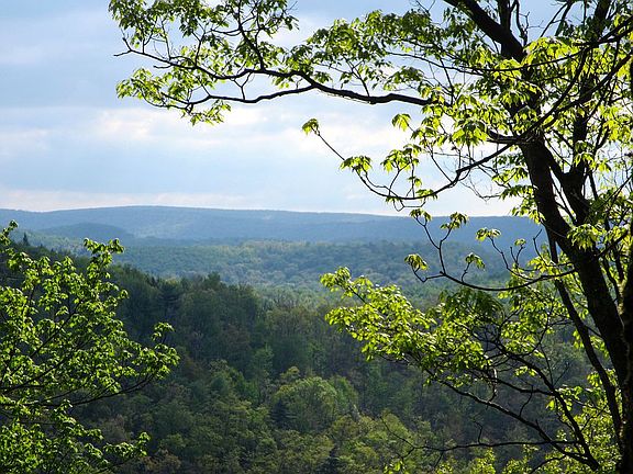 Summer view from cliff trail