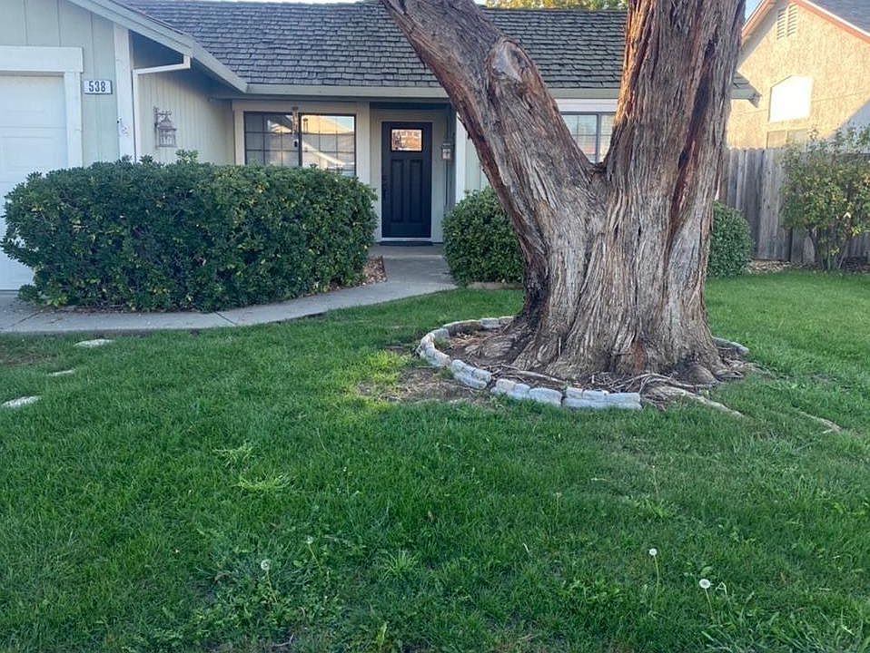 1st image of 538 Lupine Cir