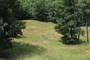 1st image of 579 County Road 9570