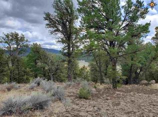 10 Rodeo Dr, Quemado, NM 87829