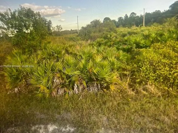 1402 Louis Ave, Lehigh Acres, FL 33972