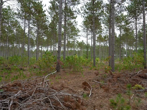 Lot 7 Bollig Court #7, Nekoosa, WI 54457