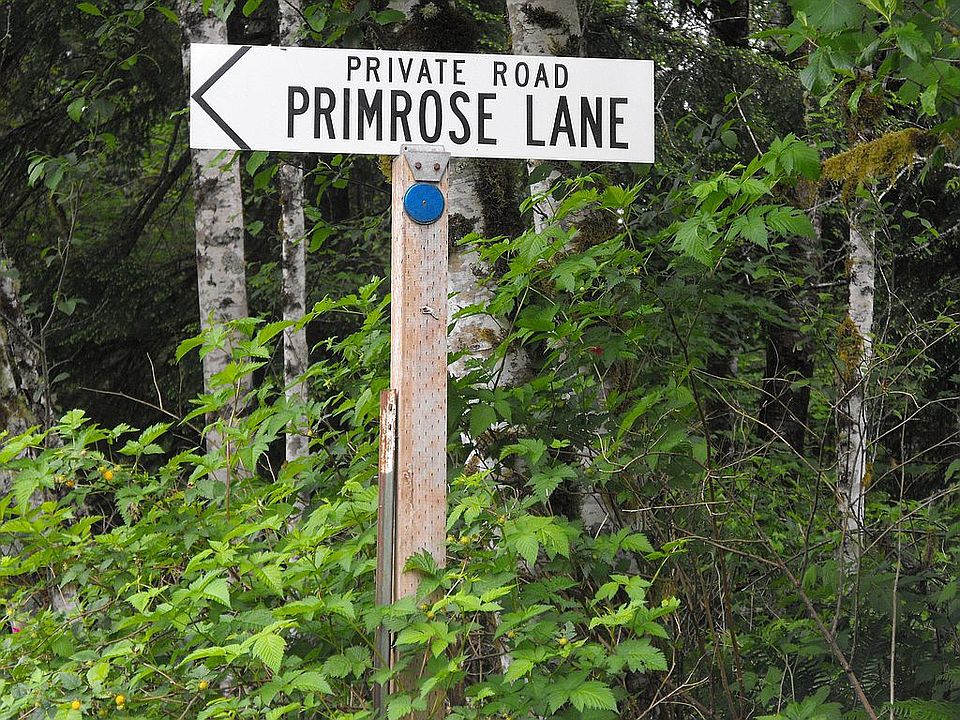 106 Primrose Lane, Cinebar, WA  98533