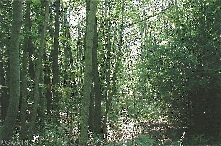 1st image of Witts End