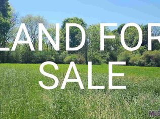 30232 W L Cleveland Rd LOT A1, Albany, LA 70711
