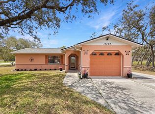 12229 Cedro St, Spring Hill, FL 34609