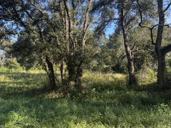 0 94th Ter, Live Oak, FL 32060