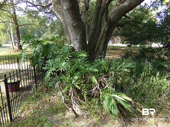 4th image of 34 Ancient Oaks Cir