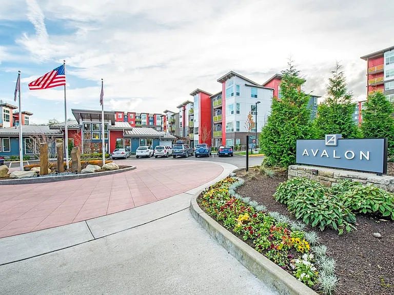 Avalon Alderwood