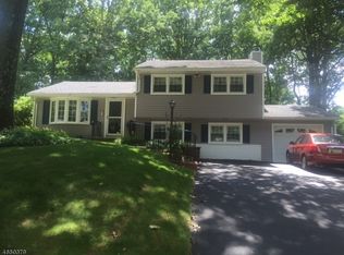 41 Sanford Dr, Randolph, NJ 07869