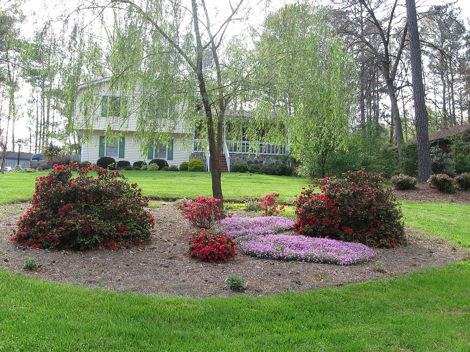 Front of house and yard 