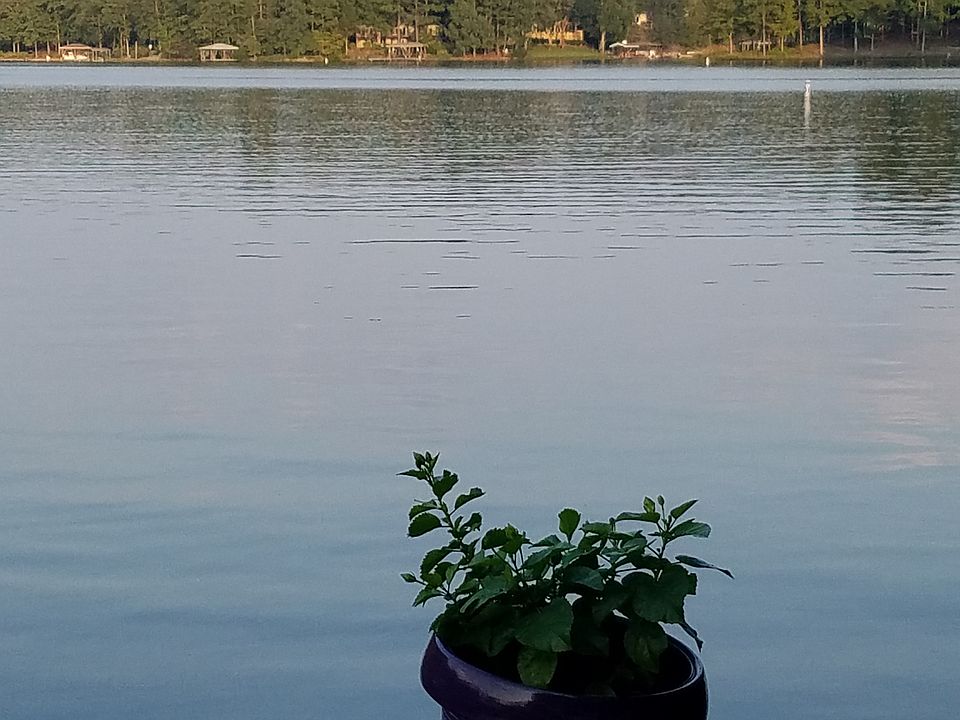 View from dock
