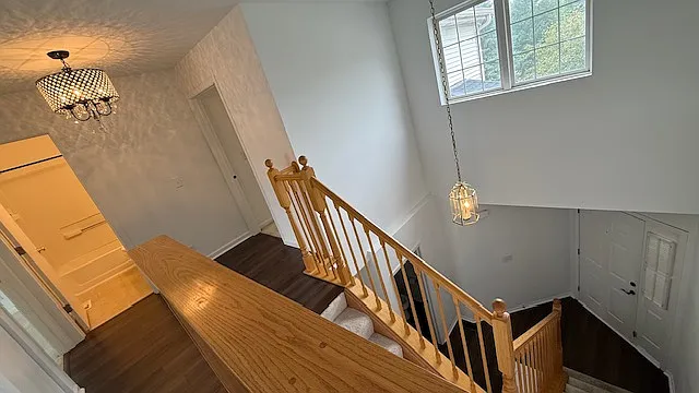 10856 Cape Cod Ln — Photo 10