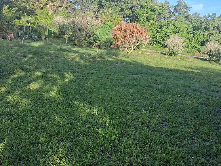 Riveredge Dr — Photo 22