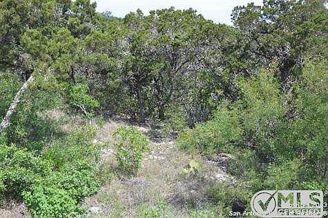 2nd image of 12303 Tatum