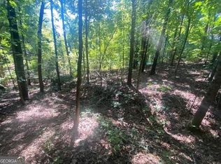 768 Cider Rdg, Clarkesville, GA 30523