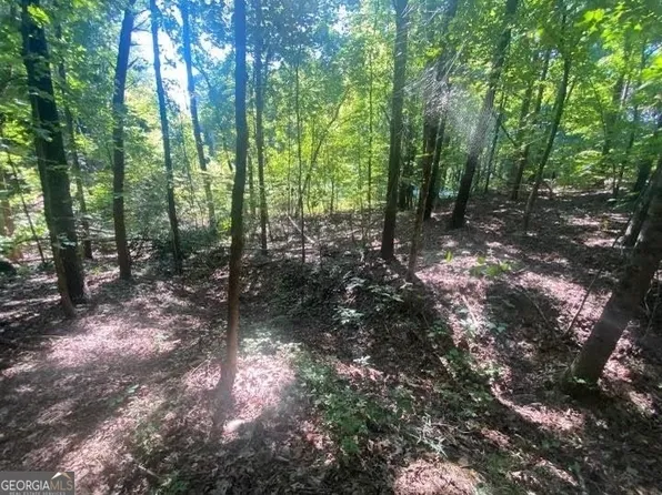 768 Cider Rdg, Clarkesville, GA 30523